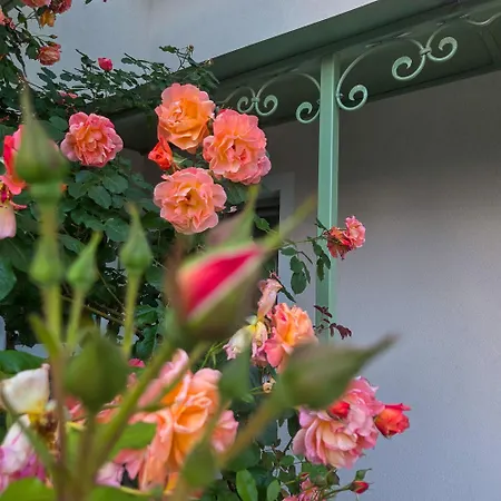 Rosenhotel - Serviced 4*