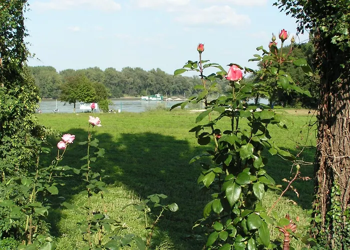 Hotel Rosenhotel - Serviced Zwentendorf